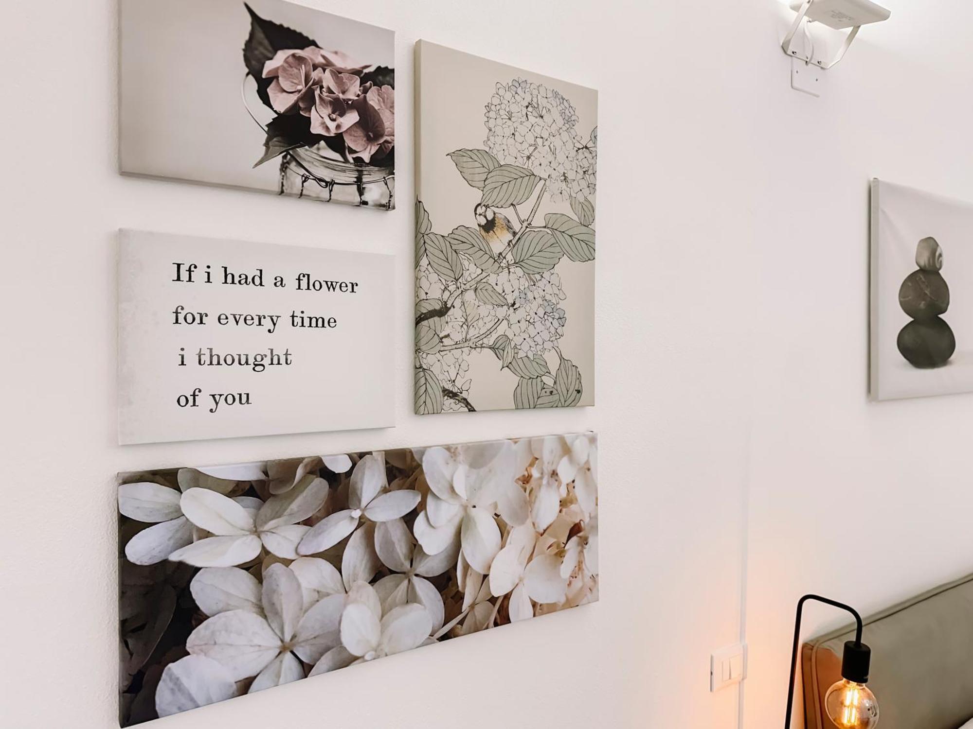Apartament Centro Storico Spina White House Piza Zewnętrze zdjęcie